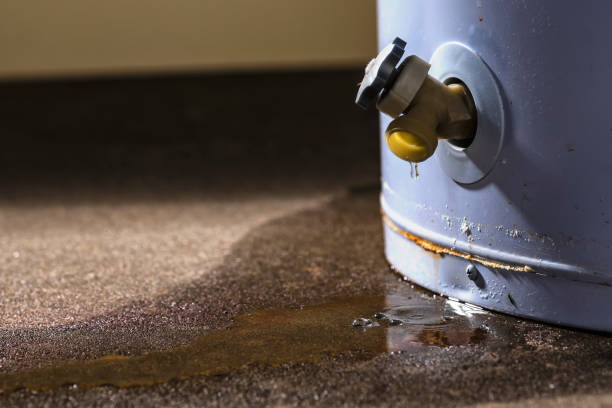 Best Water damage restoration near me  in Palmview South, TX