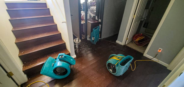 Best Flooded house restoration  in Palmview South, TX