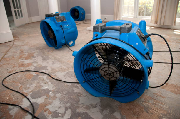 Best Water damage restoration services  in Palmview South, TX