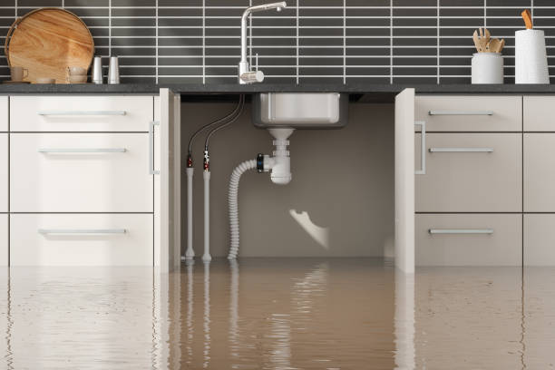 Best Residential water damage restoration  in Palmview South, TX