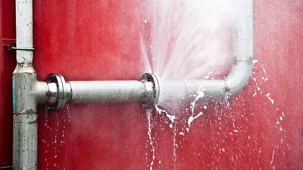 Best Residential water damage restoration  in Palmview South, TX